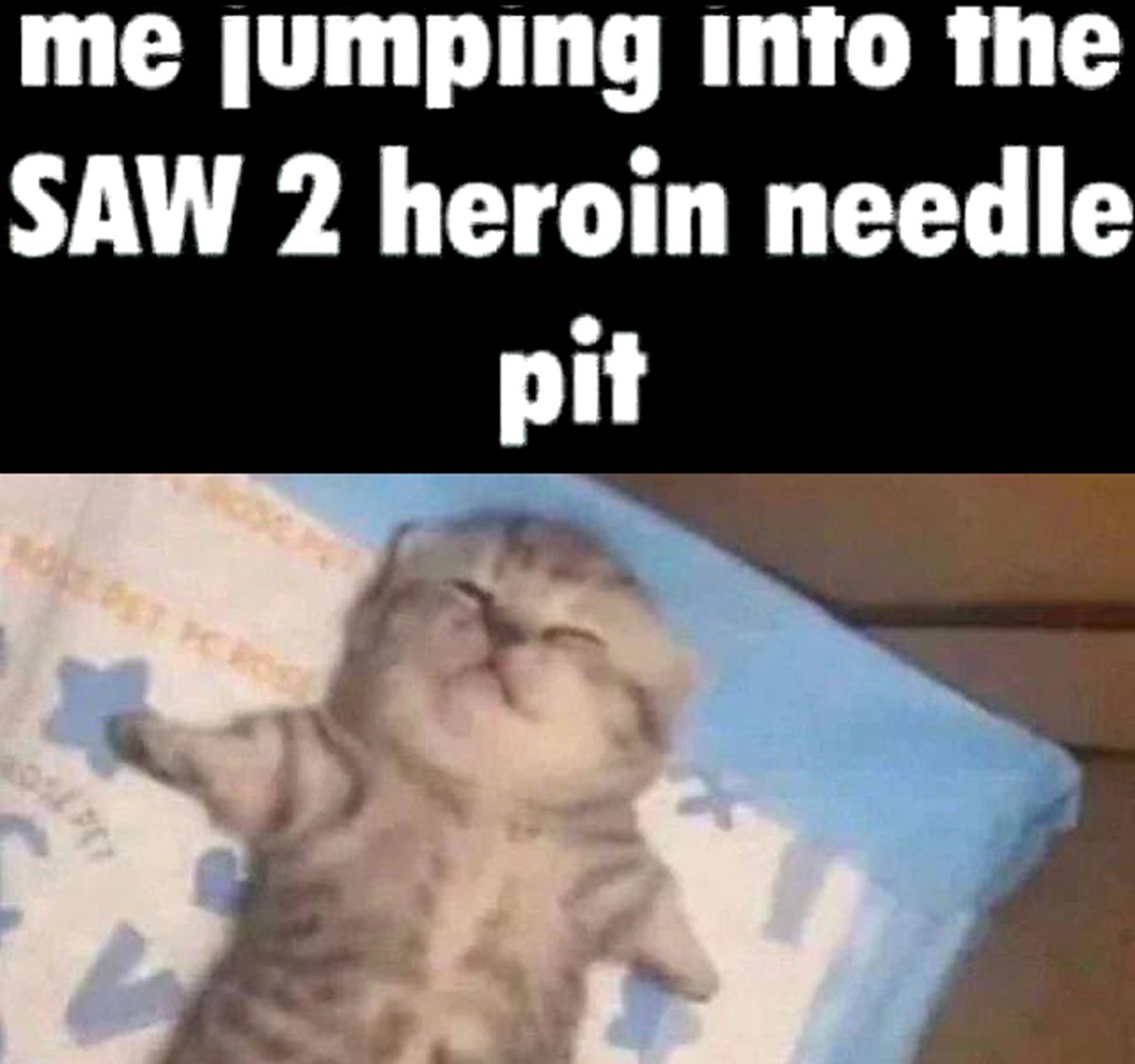 Me jumping into the SAW 2 heroin needle pit Мем с котом, который прыгает в яму с иглами из фильма "Пила 2" с выражением блаженства на мордочке.