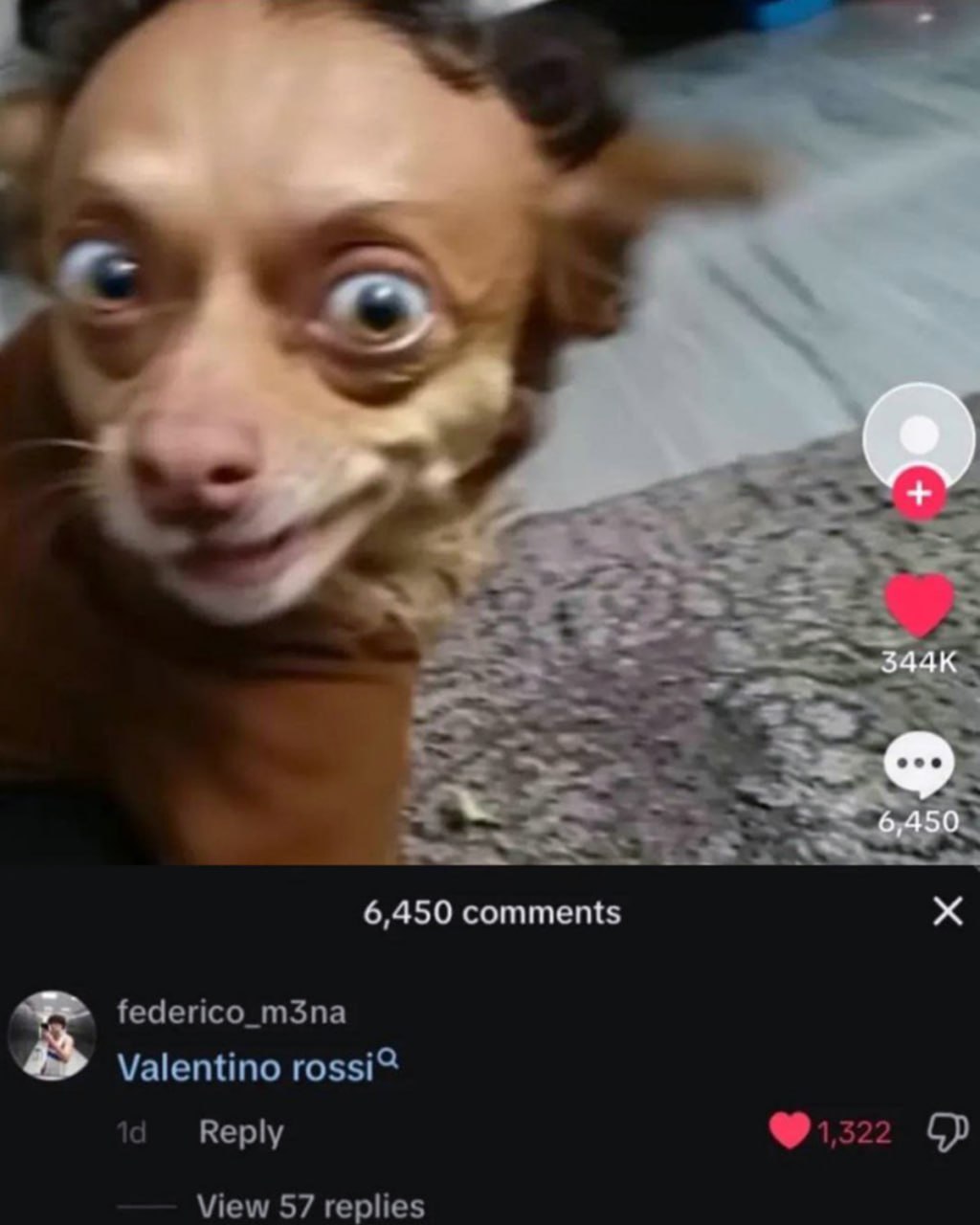 Перепуганная собака Valentino Rossi Мем с перепуганной собакой и комментарием «Valentino rossi»