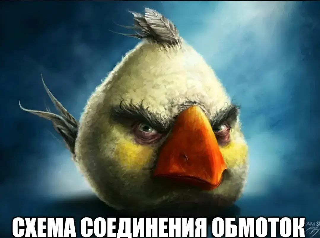 Схема соединения обмоток злая птица Злая птица из Angry Birds и надпись "Схема соединения обмоток"