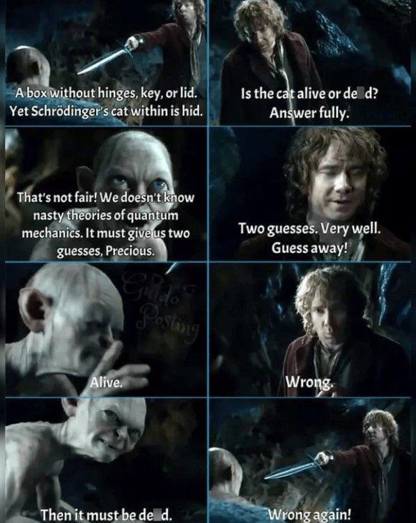 Мем про кота Шрёдингера и Горлума из «Властелина колец»