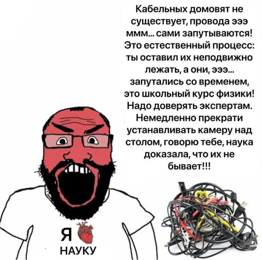 Я ❤️ науку, кабельных домовых не существует Мем о парне, который кричит, объясняя, что кабельных домовых не существует