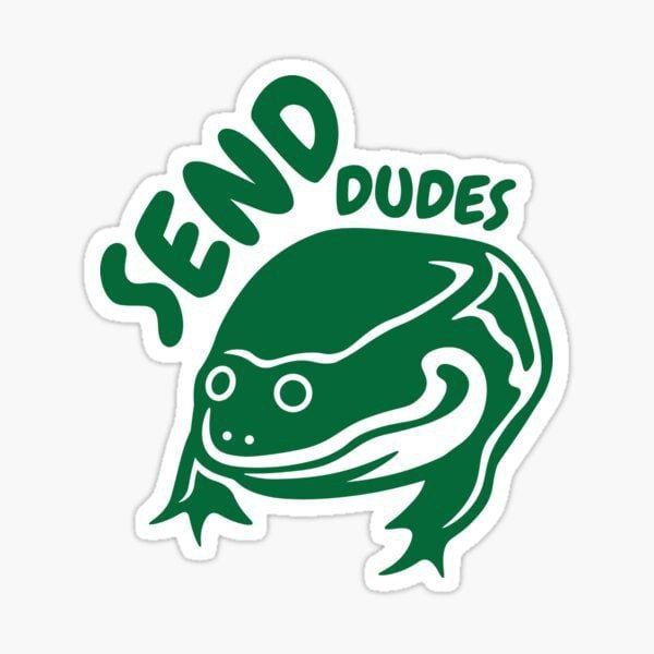 Лягушка Send dudes Изображение зеленой лягушки, окруженной белым контуром, с текстом "Send dudes", написанным зелеными буквами над ней