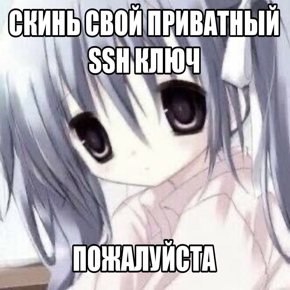 Скинь свой приватный SSH ключ, пожалуйста Мем с аниме-девочкой, которая просит скинуть приватный SSH ключ