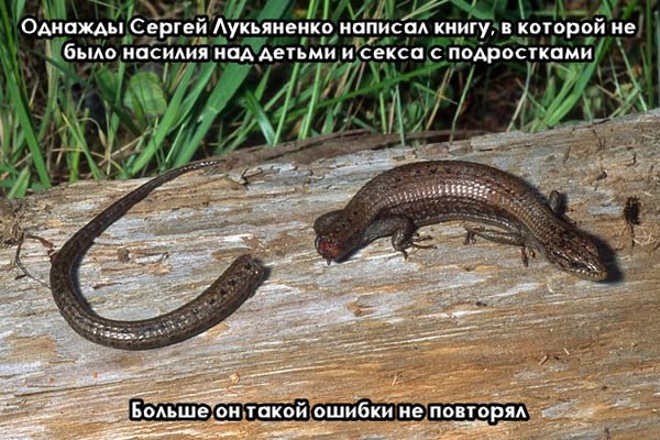 Мем про Сергея Лукьяненко и ящерицу, сбросившую хвост