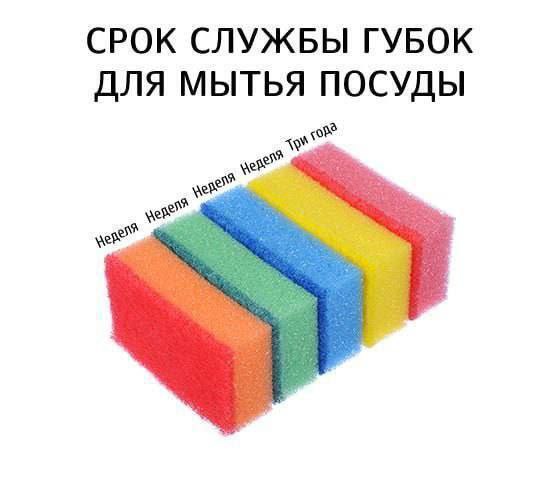 Срок службы губок для мытья посуды Мем про срок службы губок для мытья посуды, где пять губок расположены в ряд, и над каждой из первых четырех написано «Неделя», а над последней – «Три года»