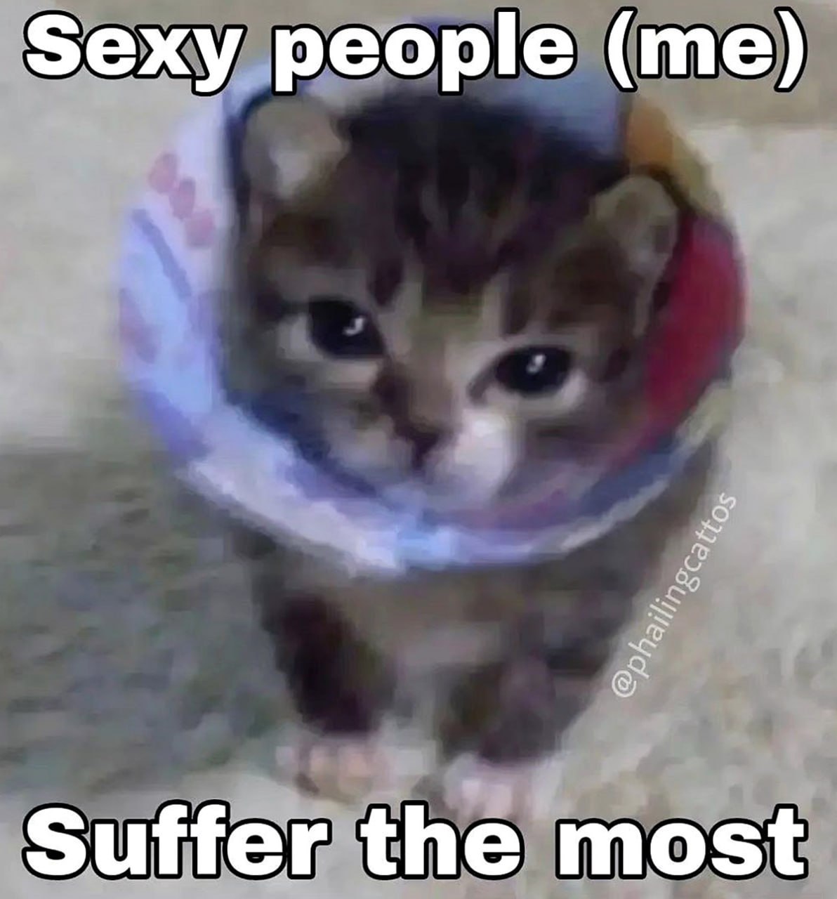 Sexy people (me) suffer the most Котёнок в воротнике "Sexy people (me) suffer the most"