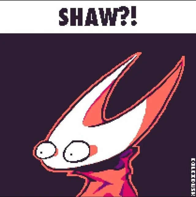 Shaw?! Мем с персонажем Хорнет из игры Hollow Knight с удивлённым лицом и надписью «Shaw?!»