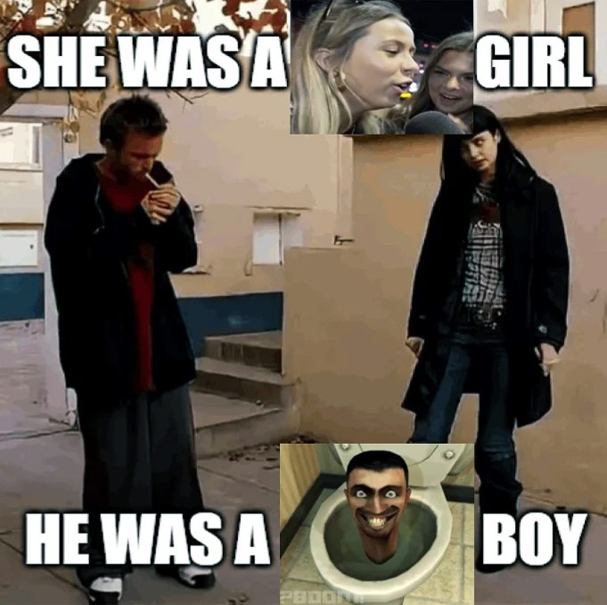 She was a girl he was a boy Мем She was a girl he was a boy с Джесси, Джейн и Скибиди-туалетом