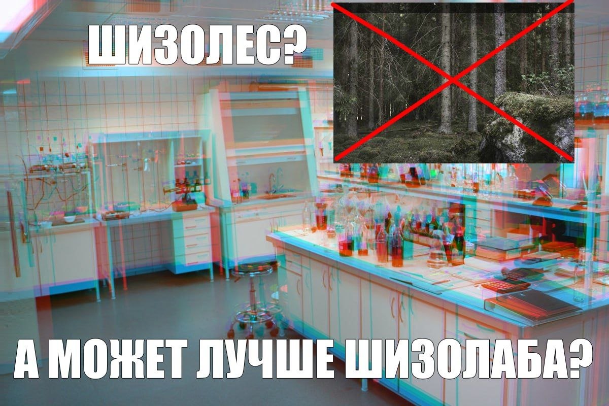 Лаборатория с колбами и реактивами, рядом зачёркнутый лес, а сверху и снизу надписи «Шизолес?» и «А может лучше шизолаба?»