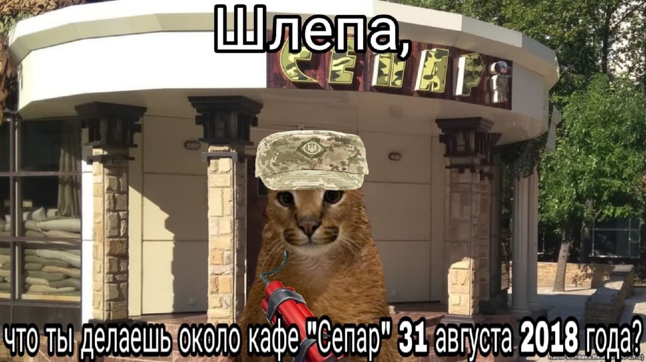 Шлепа около кафе "Сепар" 31 августа 2018 года Мем с котом Шлепой в украинской военной фуражке, держащим динамит, возле кафе "Сепар" 31 августа 2018 года, с вопросом о его действиях.