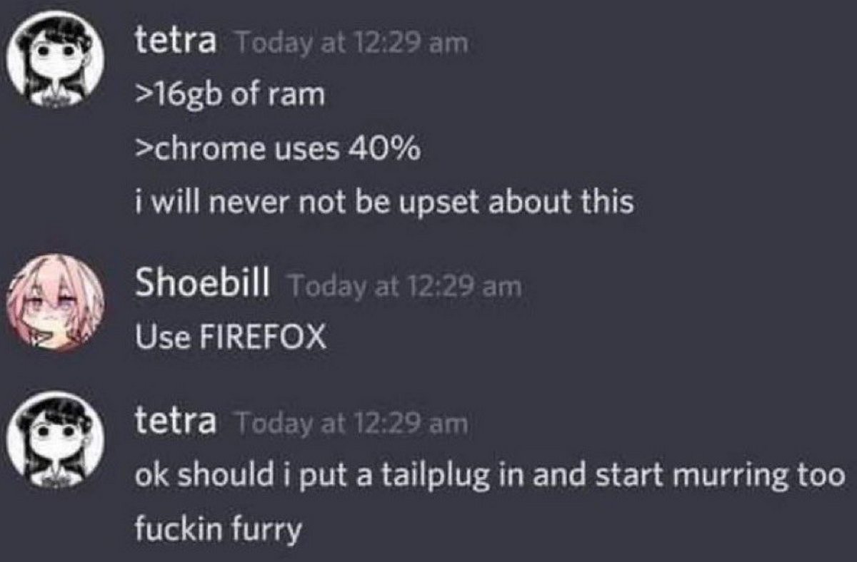 Ok should i put a tailplug in and start murring too fuckin furry Переписка в Дискорде, где пользователь жалуется, что Chrome занимает 40% оперативной памяти, а в ответ на совет перейти на Firefox спрашивает, не стоит ли ему надеть анальную пробку и начать мурлыкать.