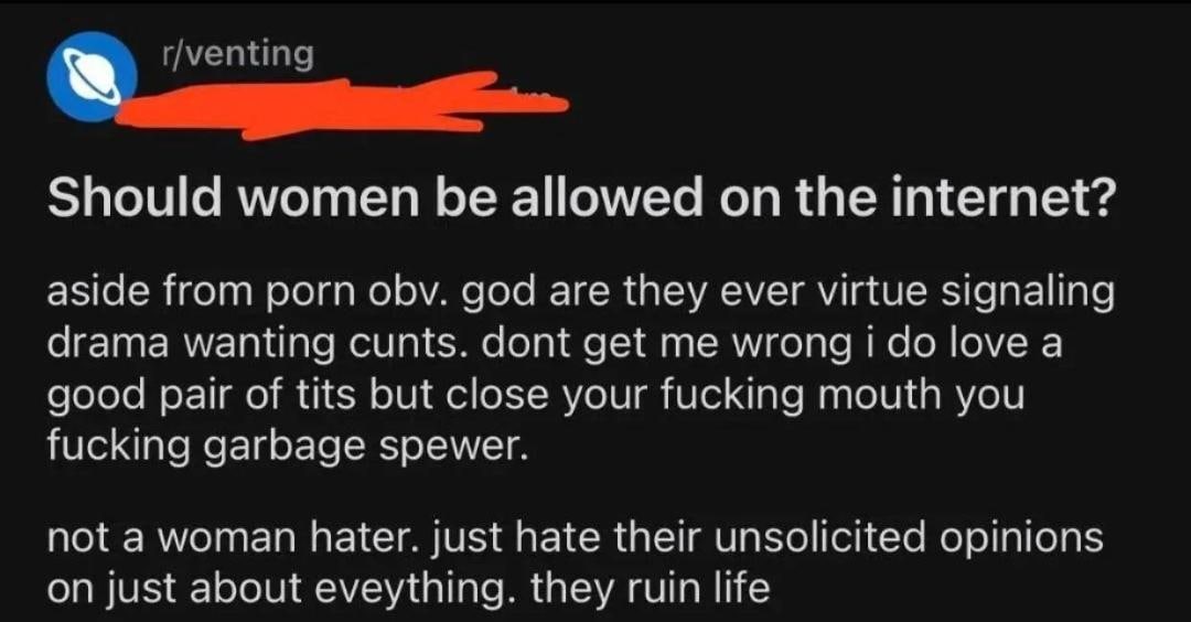 Should women be allowed on the internet Мем с Reddit, где мужчина задаётся вопросом, стоит ли допускать женщин в интернет, жалуясь на их мнения и поведение