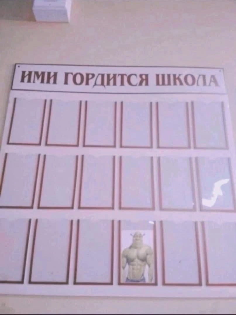 Шрек на доске почета Шрек на доске почета в школе