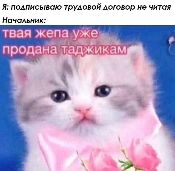 Твоя жена уже продана таджикам Мем про подписание трудового договора не читая и начальника, который сообщает, что твоя жена продана таджикам