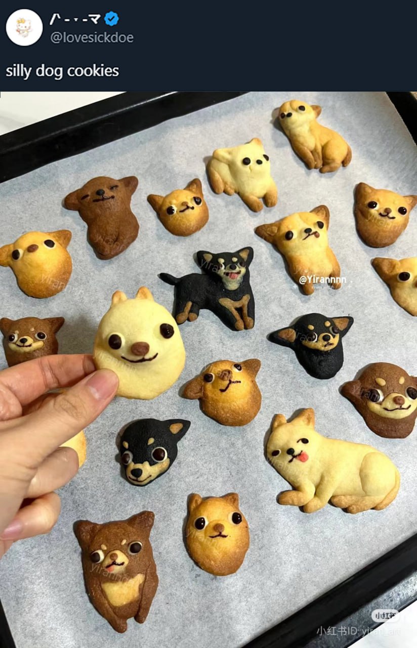 Silly dog cookies Милое печенье в форме собак