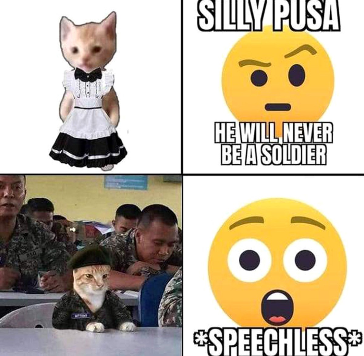 Silly pusa he will never be a soldier Глупый котенок, он никогда не станет солдатом, а потом он в военной форме и все в шоке.