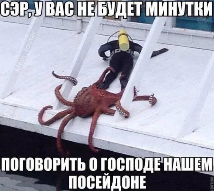 Сэр, у вас не будет минутки поговорить о Господе нашем Посейдоне Осьминог удерживает дайвера на лодке, предлагая поговорить о Посейдоне.