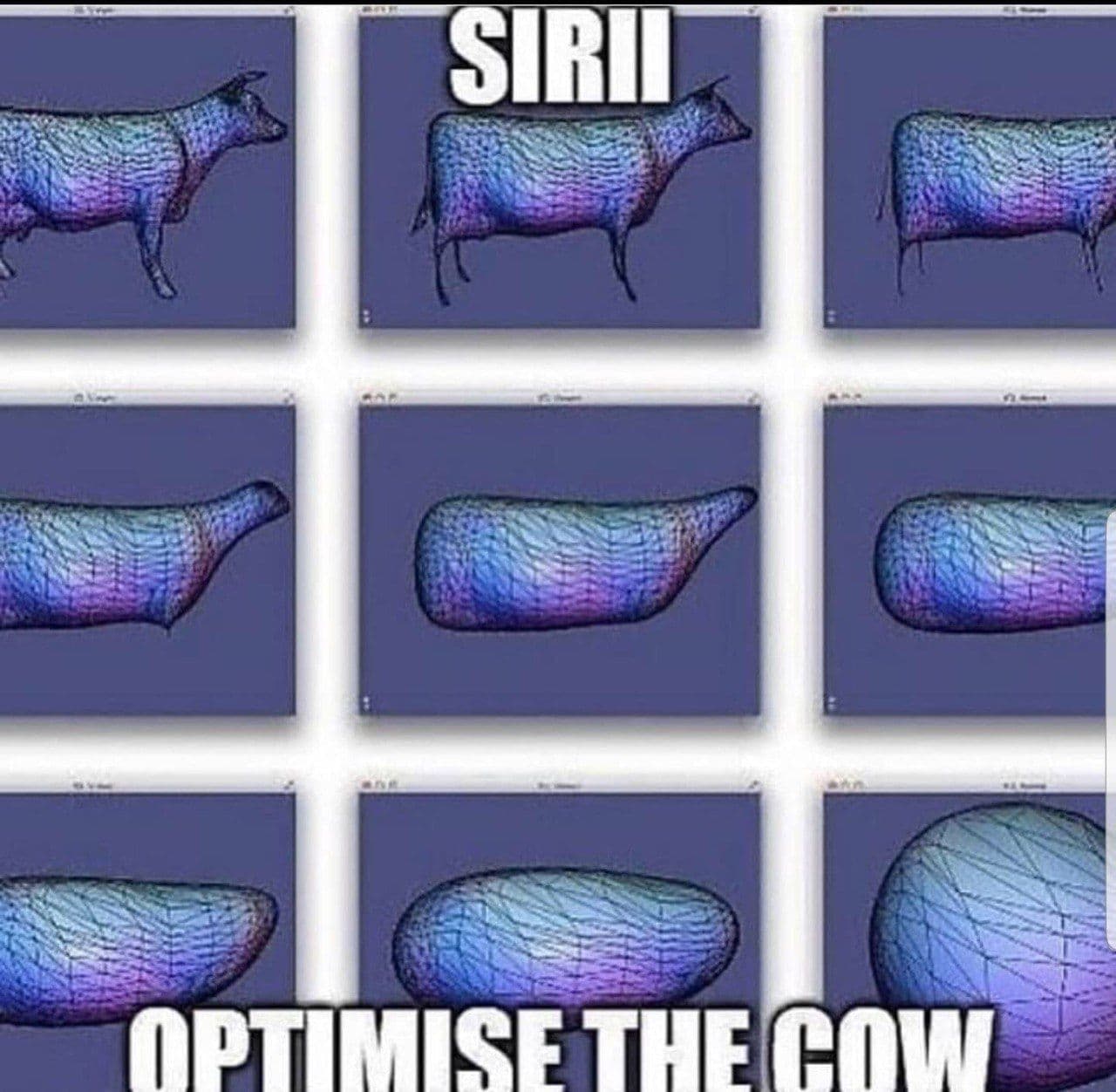 Siri, optimise the cow Мем с "оптимизацией" коровы до идеального шара после запроса Siri.