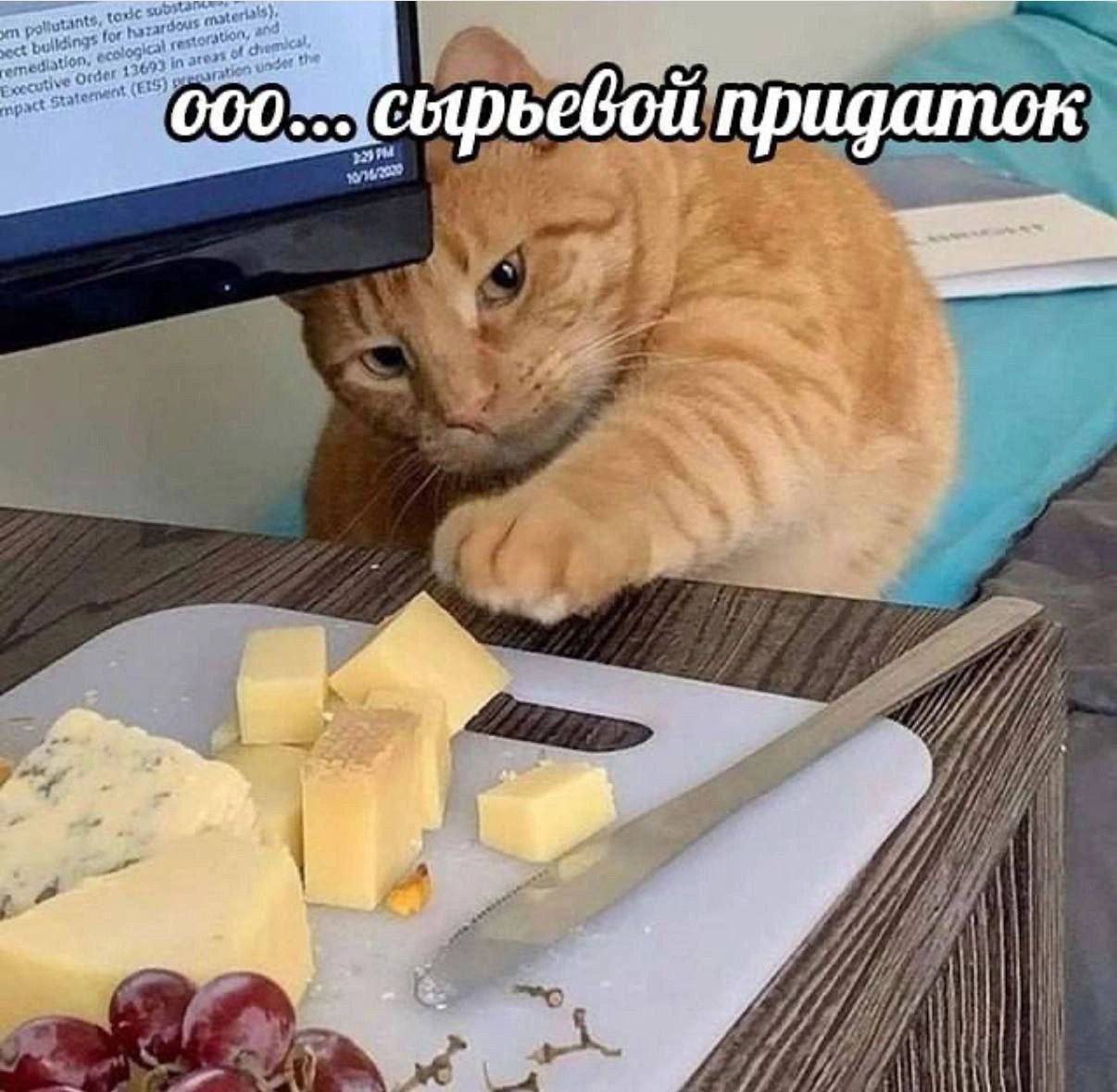 Кот и сырьевой придаток Рыжий кот тянется к сыру со словами "ооо... сырьевой придаток"