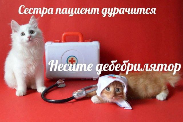 Сестра пациент дурачится Сестра пациент дурачится, несите дефибриллятор