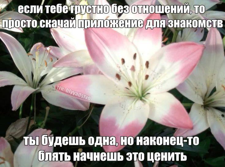 Скачай приложение для знакомств Если тебе грустно без отношений, то скачай приложение для знакомств, ты будешь одна, но наконец-то начнешь это ценить