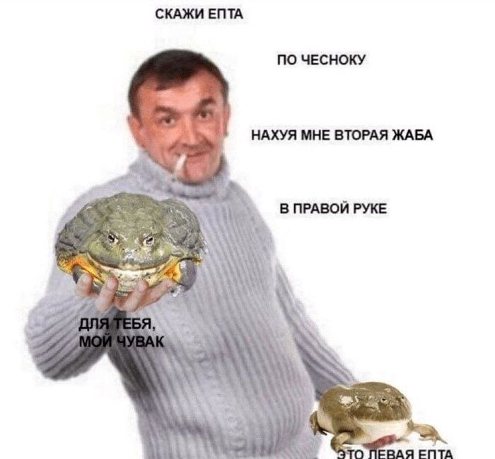 Скажи епта, нахуя мне вторая жаба Мужчина в свитере держит в руке толстую жабу, а на полу сидит вторая, в то время как надписи над ними содержат диалог о том, зачем нужна вторая жаба.