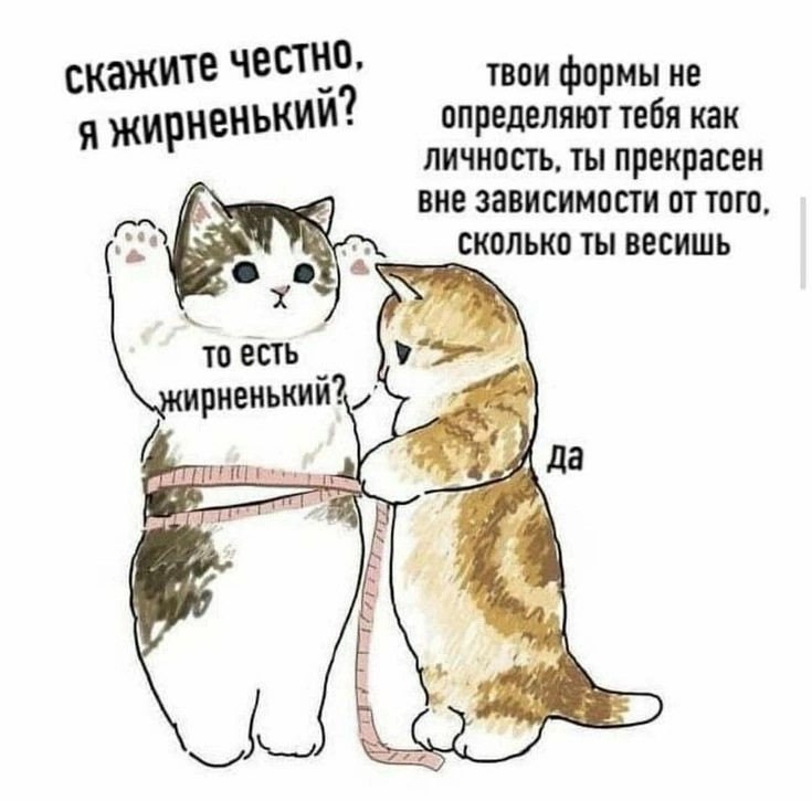 Скажите честно, я жирненький? Коты измеряют талию, один кот спрашивает: «Скажите честно, я жирненький?»