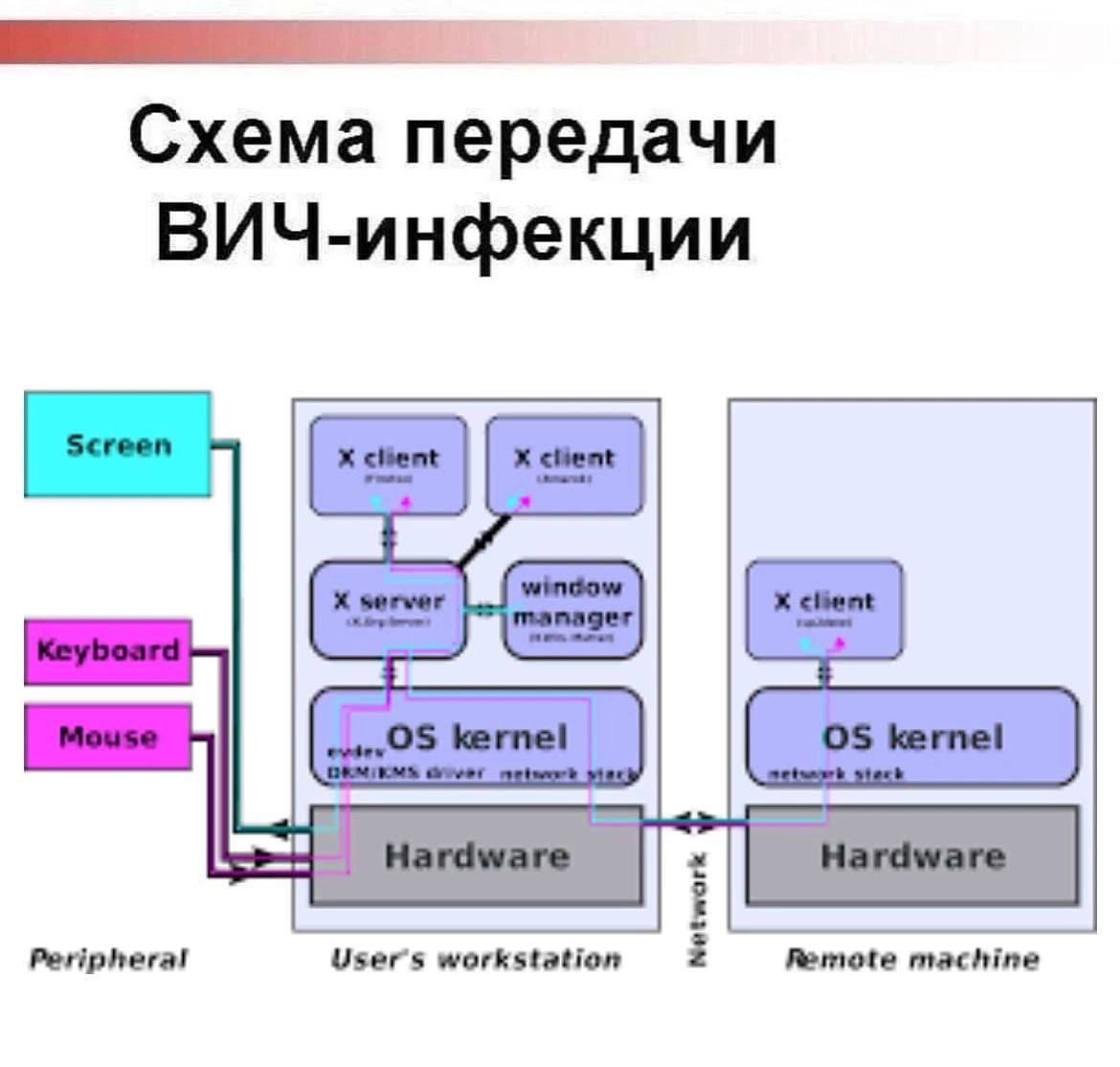 Схема передачи ВИЧ-инфекции Надпись "Схема передачи ВИЧ-инфекции" над диаграммой передачи данных