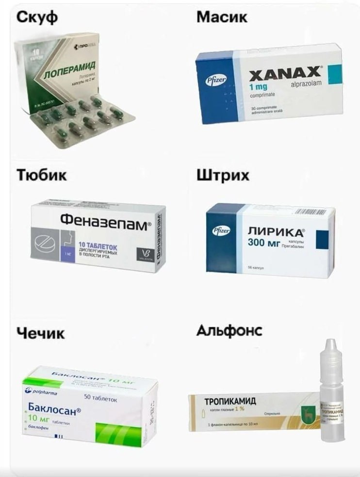 Скуф, Масик, Тюбик, Штрих, Чечик, Альфонс Мем, где препараты сопоставлены с жаргонными названиями: Лоперамид - Скуф, Xanax - Масик, Феназепам - Тюбик, Лирика - Штрих, Баклосан - Чечик, Тропикамид - Альфонс.