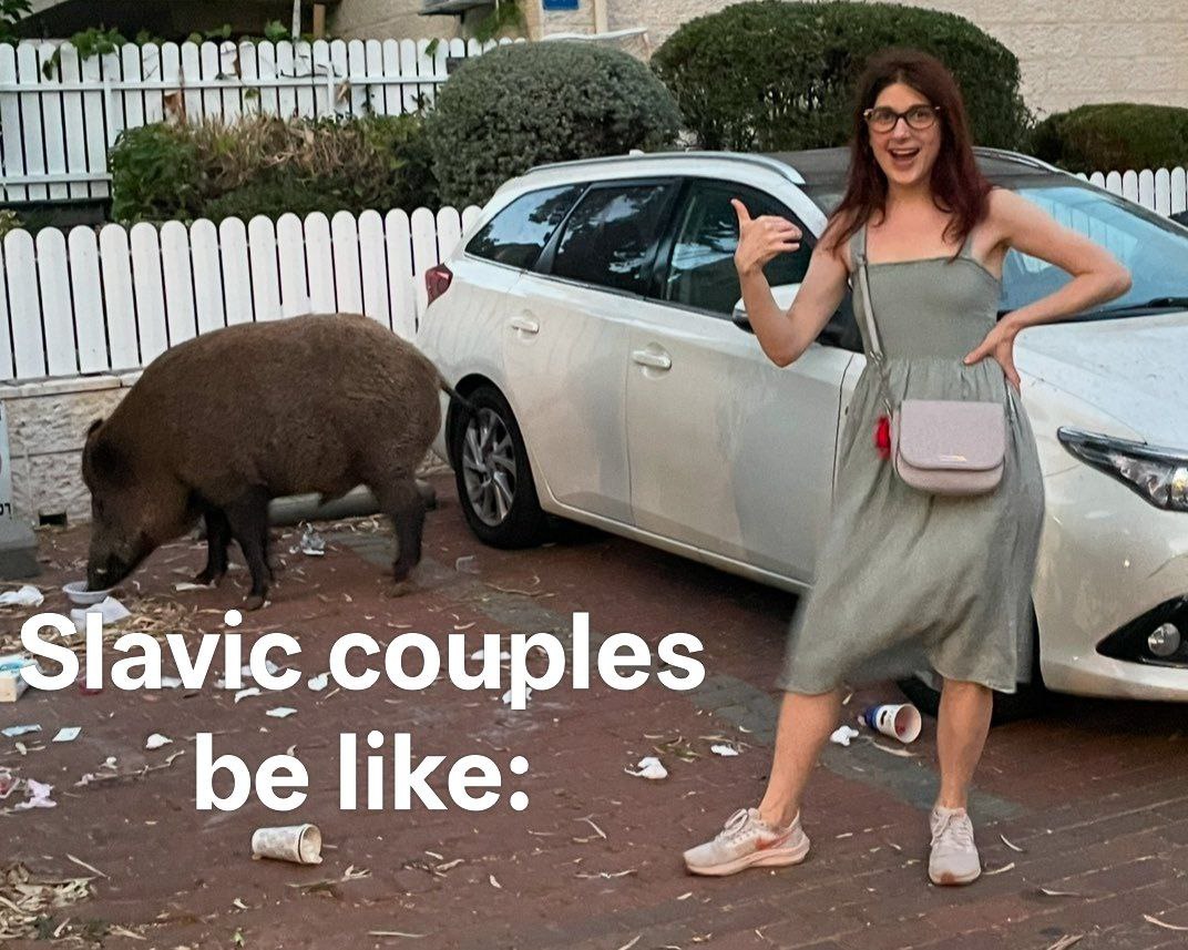 Slavic couples be like с кабаном Мем "Slavic couples be like" с кабаном и девушкой на фоне белой машины и мусора
