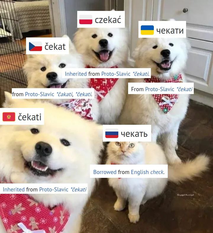 Славянские собаки и русский кот "чекать" Мем со славянскими собаками, которые используют слово "чекати" и русским котом, который говорит "чекать"