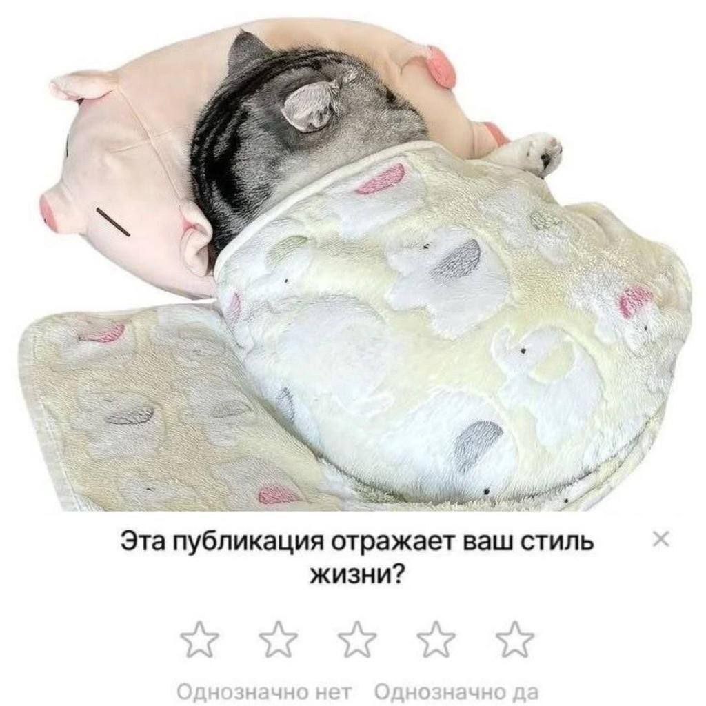 Три мягкие игрушки спят под одеялом, а интерфейс спрашивает, отражает ли такая уютная жизнь ваш стиль жизни.
