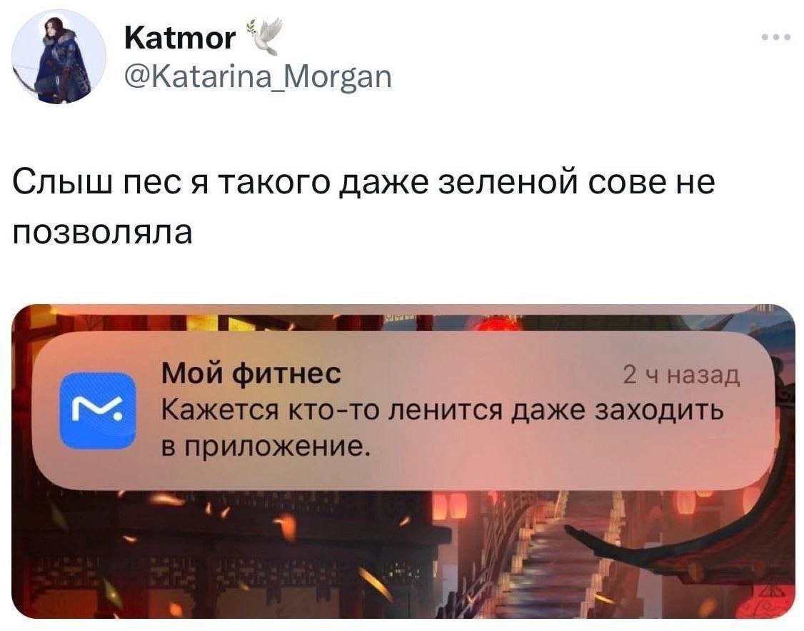 Слышь пес я такого даже зеленой сове не позволяла Мем, где девушка в Twitter пишет, что не позволила бы такого даже зеленой сове, а снизу уведомление от фитнес-приложения о том, что кто-то ленится даже заходить в приложение.