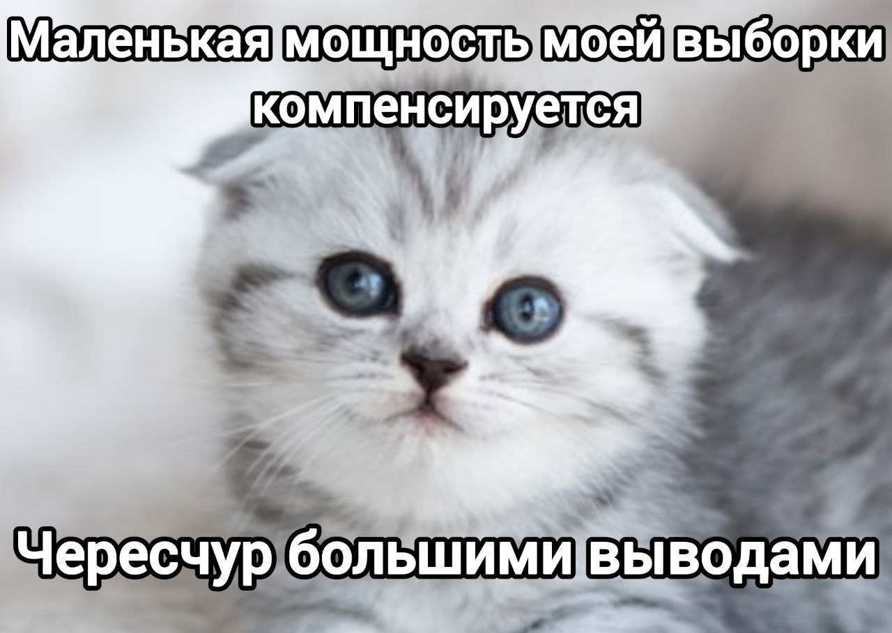 Маленькая мощность моей выборки компенсируется Милый котенок с подписью «Маленькая мощность моей выборки компенсируется чересчур большими выводами»
