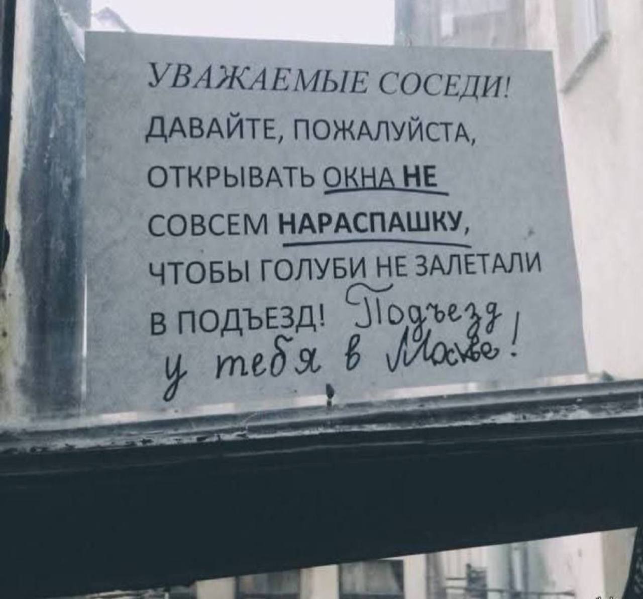 Чтобы голуби не залетали в подъезд Объявление с просьбой не открывать окна нараспашку, чтобы голуби не залетали в подъезд