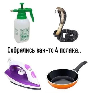 На белом фоне собраны четыре предмета, похожие друг на друга: распылитель, кобра, утюг и сковорода, с подписью «Собрались как-то 4 поляка..».