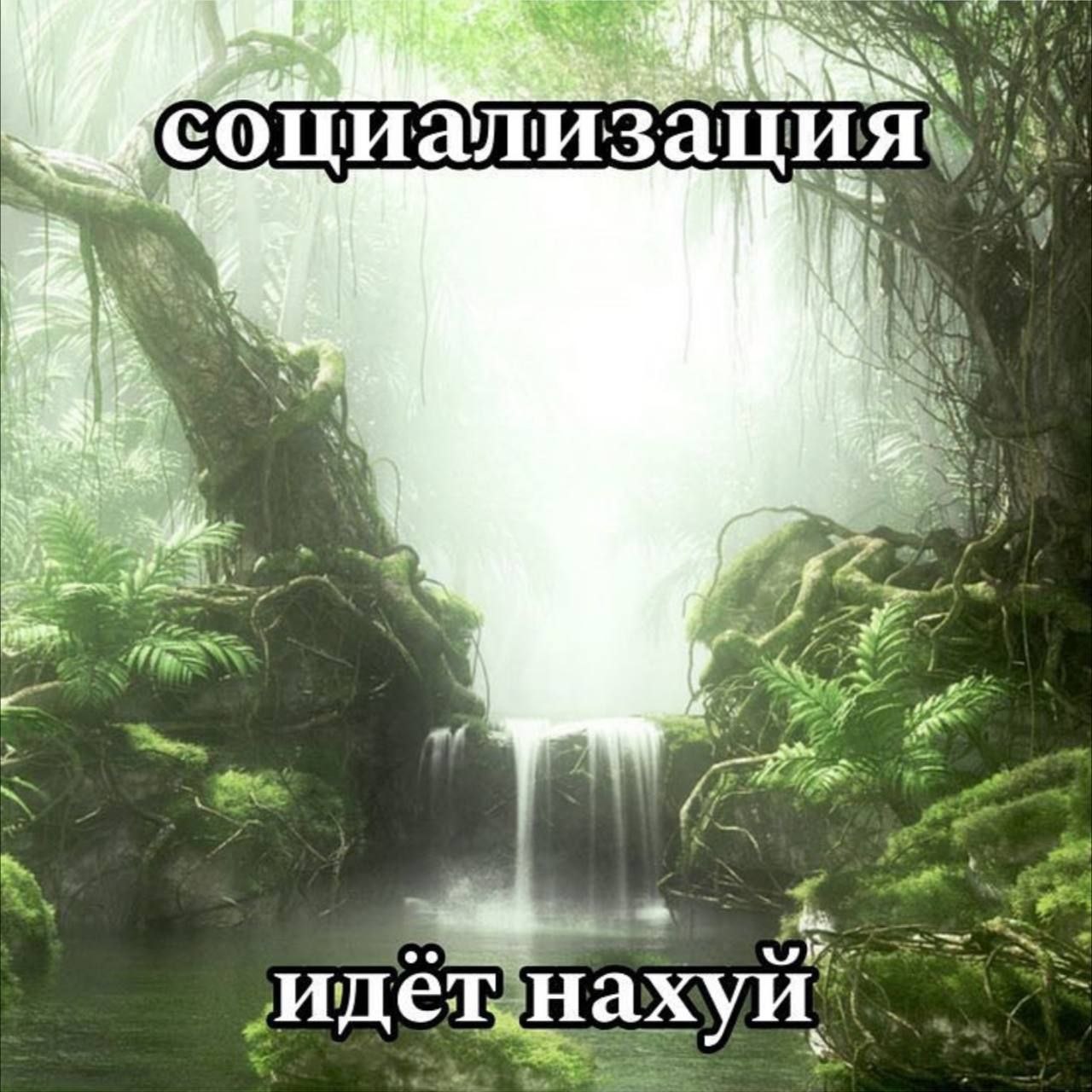 Социализация идёт нахуй Социализация идёт нахуй