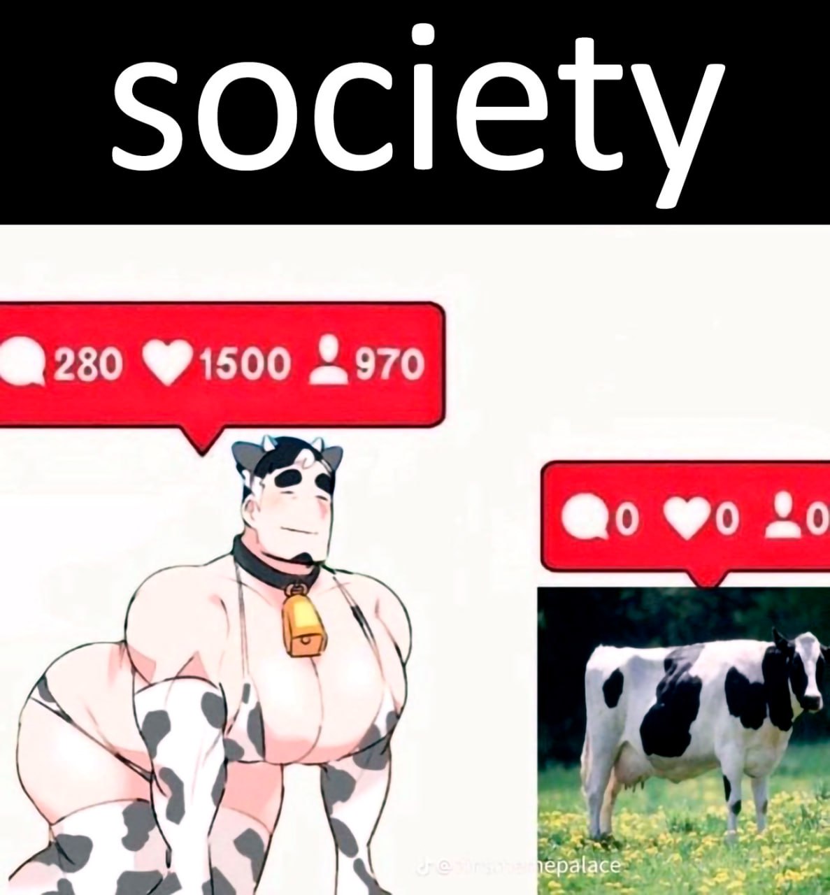 Мем society корова Мем с надписью «society», сравнивающий количество лайков у бифка-коровы и обычной коровы в поле.