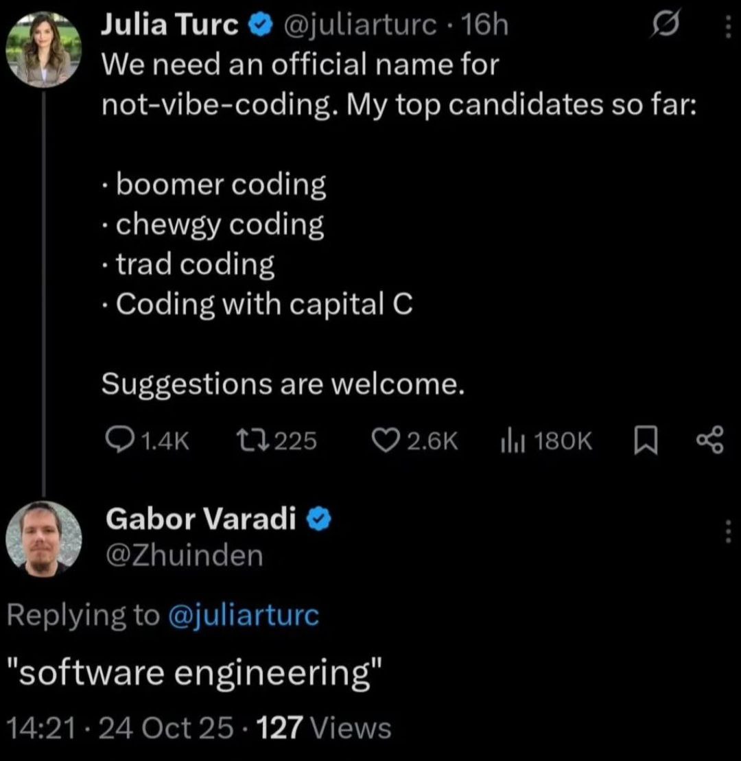 Software engineering Мем про девушку, которая ищет название для «не-вайб-кодинга», и мужчину, который отвечает «software engineering»