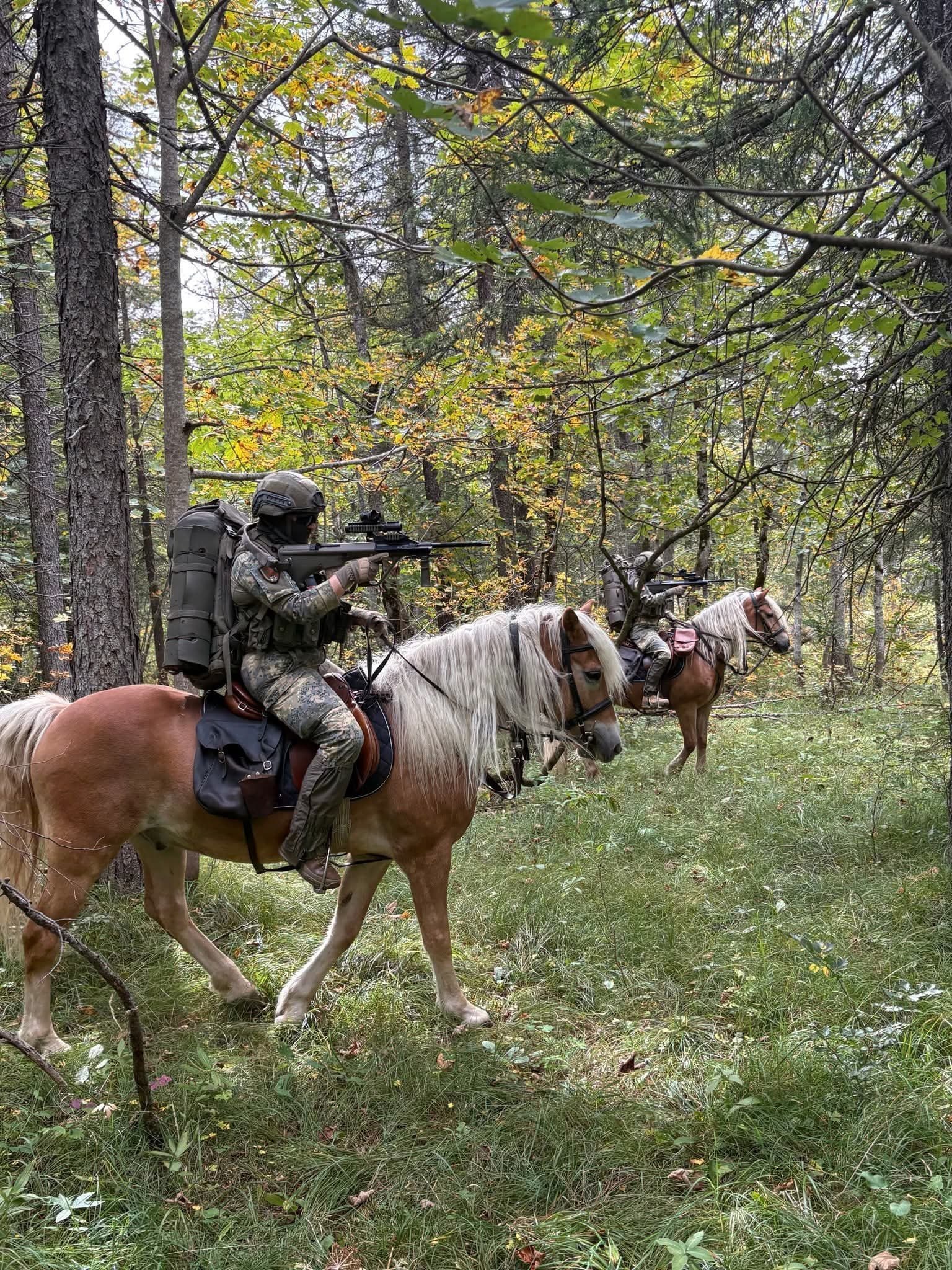 Бойцы в полной экипировке патрулируют осенний лес верхом на лошадях.