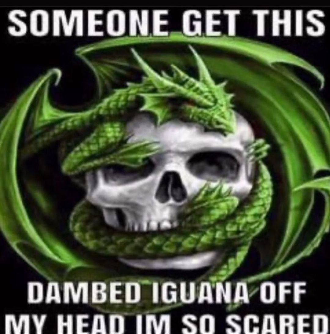 Someone get this dammed iguana off my head im so scared Череп, обвитый зеленым драконом, с текстом «Someone get this dammed iguana off my head im so scared»
