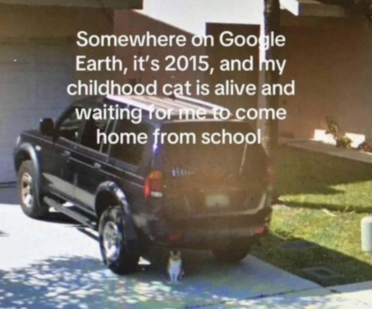Somewhere on Google Earth, it's 2015, and my childhood cat is alive Мой котенок ждет меня из школы в 2015 году на Google Earth