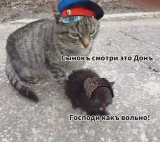 Сынокъ смотри это Донъ Мама-кошка в фуражке показывает котенку Дон, а он восклицает: "Господи какъ вольно!"