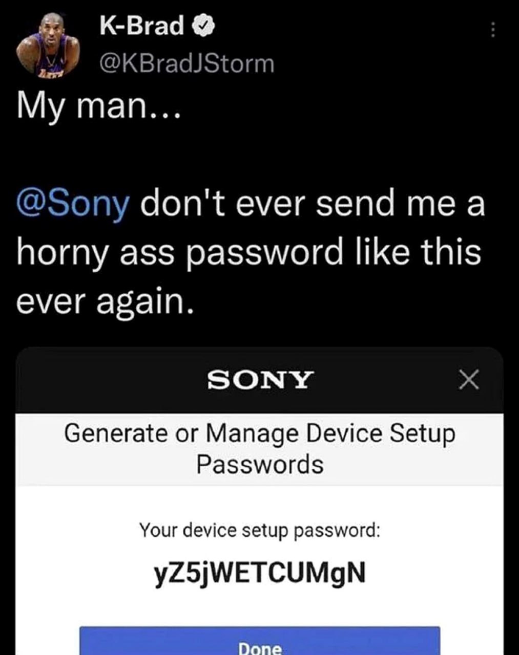 Sony don't ever send me a horny ass password Пользователь твиттера жалуется Sony на непристойный сгенерированный пароль