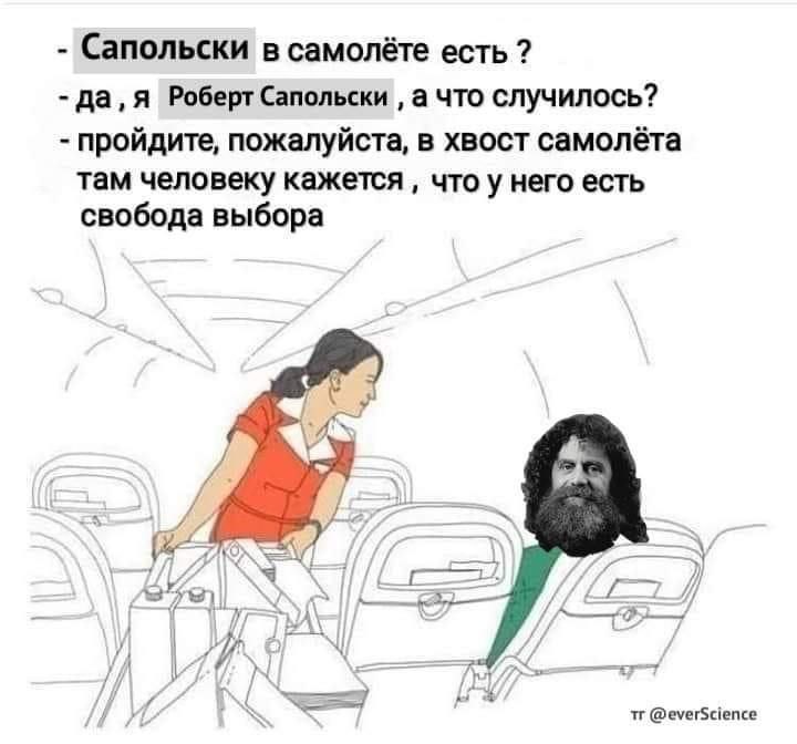 Сапольски в самолете есть Мем с Робертом Сапольски в самолете и бортпроводницей, говорящей о свободе выбора
