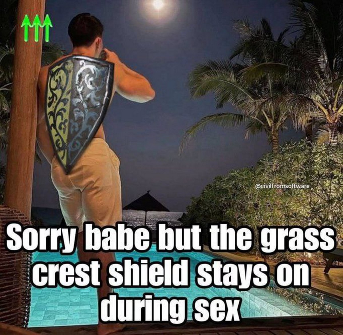 Sorry babe but the grass crest shield stays on during sex Мужчина со щитом из Dark Souls у бассейна со словами "Sorry babe but the grass crest shield stays on during sex"