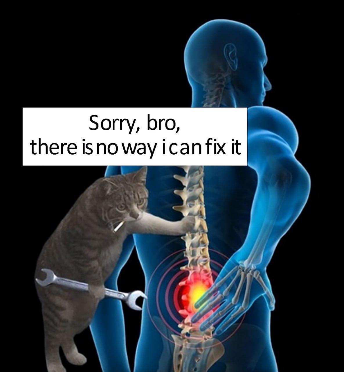 Sorry, bro, there is no way i can fix it Кот-механик не может починить спину человека