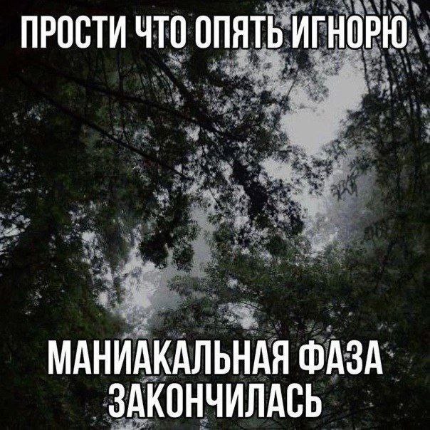 Мрачный лес с подписью «Прости, что опять игнорю. Маниакальная фаза закончилась» — о возвращении к молчанию после периода активности.