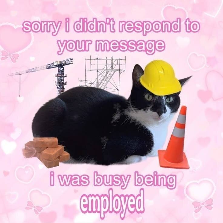Черно-белый кот в каске на розовом фоне пишет: «Sorry I didn’t respond to your message, I was busy being employed» — «Извини, что не ответил на сообщение, я был занят работой».