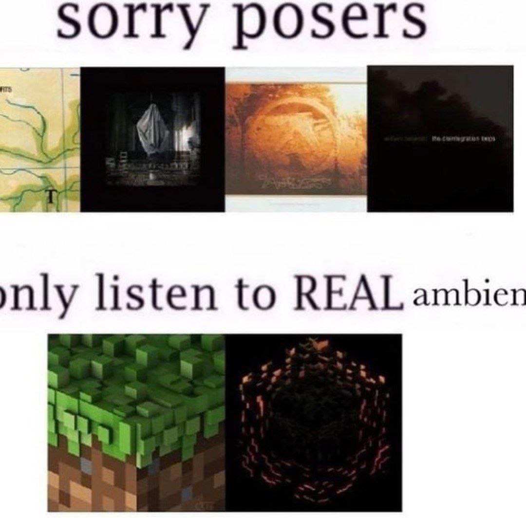 Sorry posers only listen to REAL ambient Мем, где фанат эмбиент-музыки заявляет, что только он слушает «настоящий эмбиент», показывая обложки альбомов и звуки из игры Minecraft.